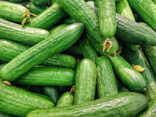 cucumbers1.jpg