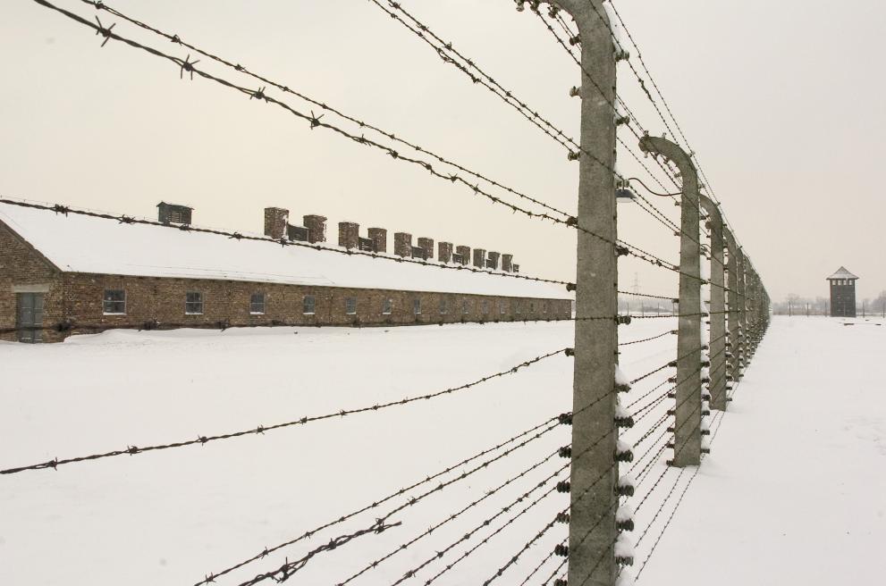  Sixtieth anniversary of the commemoration of the liberation by the Russians, of the concentration camp at Auschwitz-Birkenau, Polen