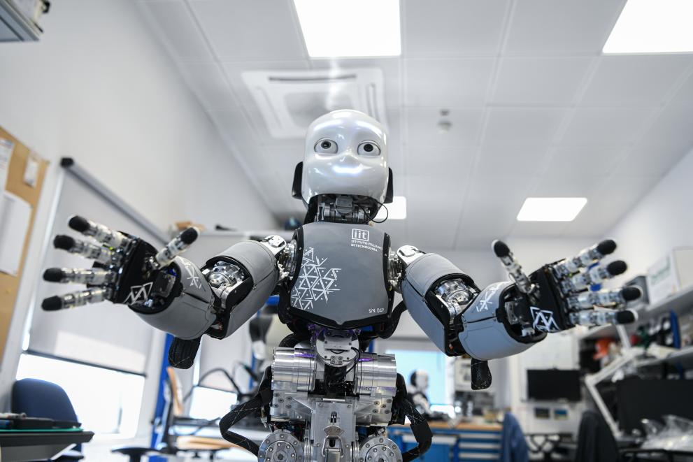 Humanoid robotics and AI research and development - Italian Institute of Technology
