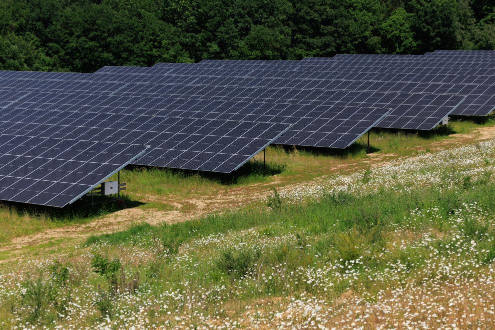 Braine-l'Alleud photovoltaic park
